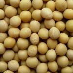 Soybeans 1kg