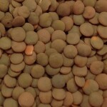 Mushri Whole(Lentil)1kg