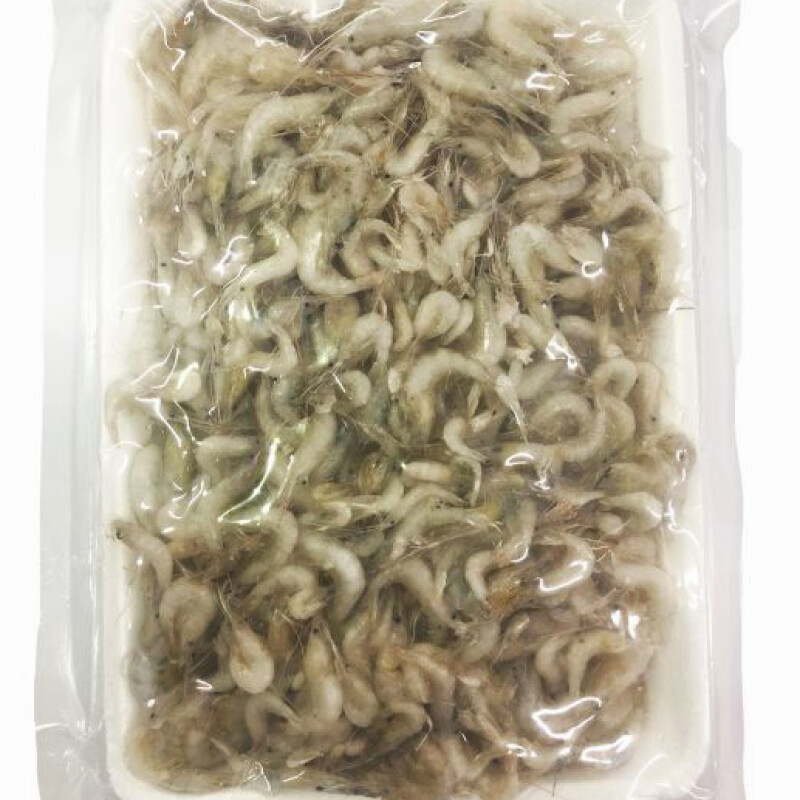 FROZEN BABY SHRIMP 500g