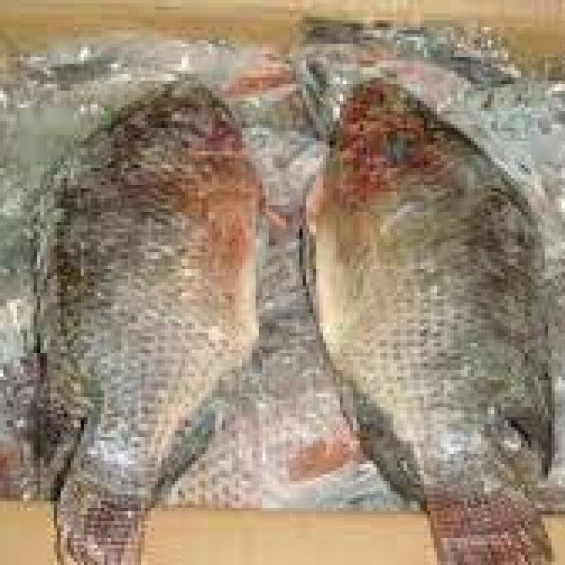 Tilapia 800g