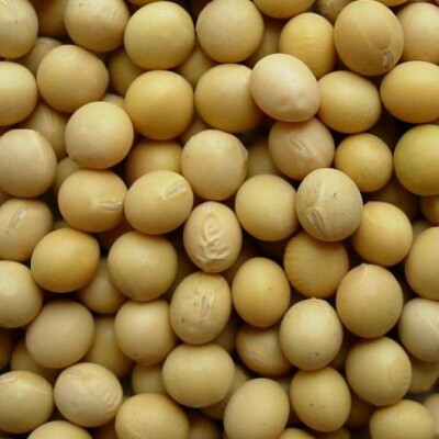 Soyabeans 1kg