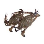 FROZEN RIVER CRAB 400g